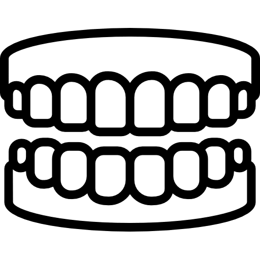teeth
